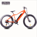 1000w Hottest fettes billiges elektrisches Schneefahrrad mit versteckter Batterie, Berg 8fun mittleres Laufwerkmotor-elektrisches Fahrrad